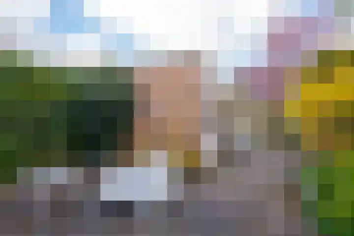 Grevenmate 18 Zwolle thumbnail 26