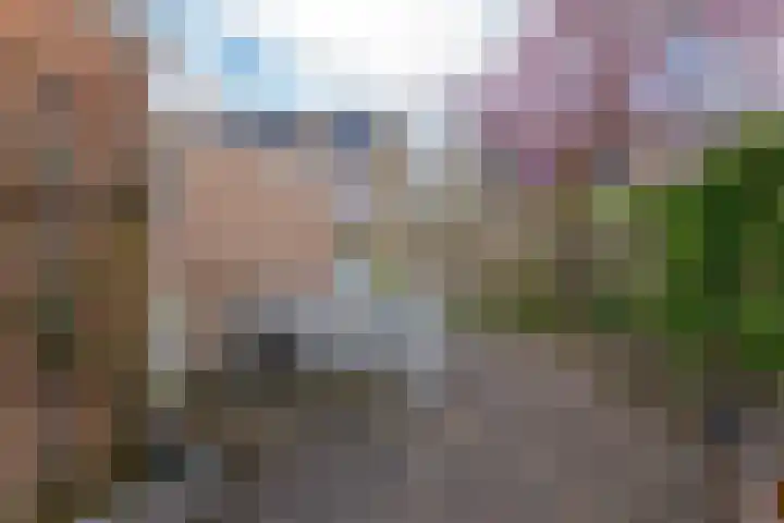 Grevenmate 18 Zwolle thumbnail 28