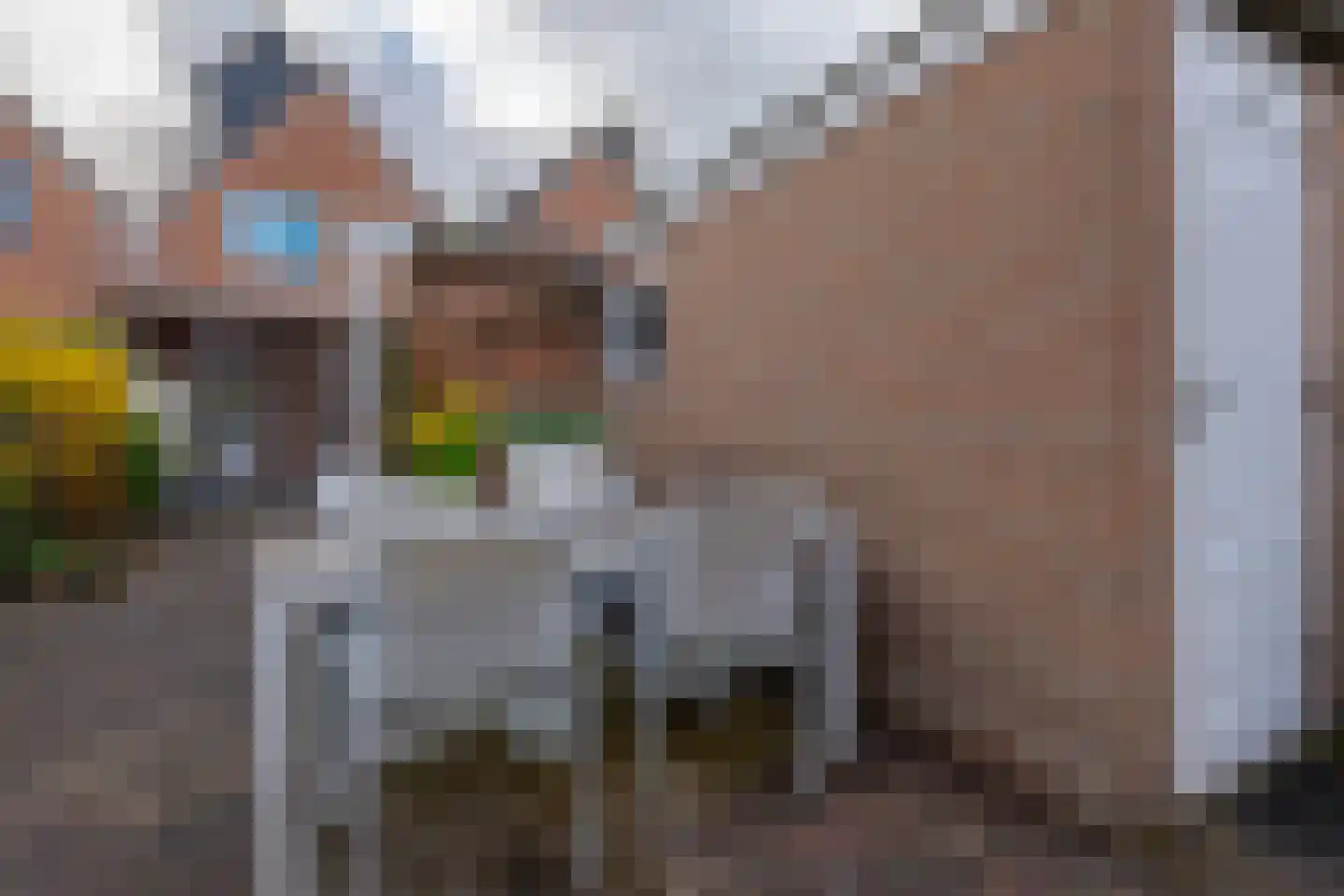 Grevenmate 18 Zwolle thumbnail 29