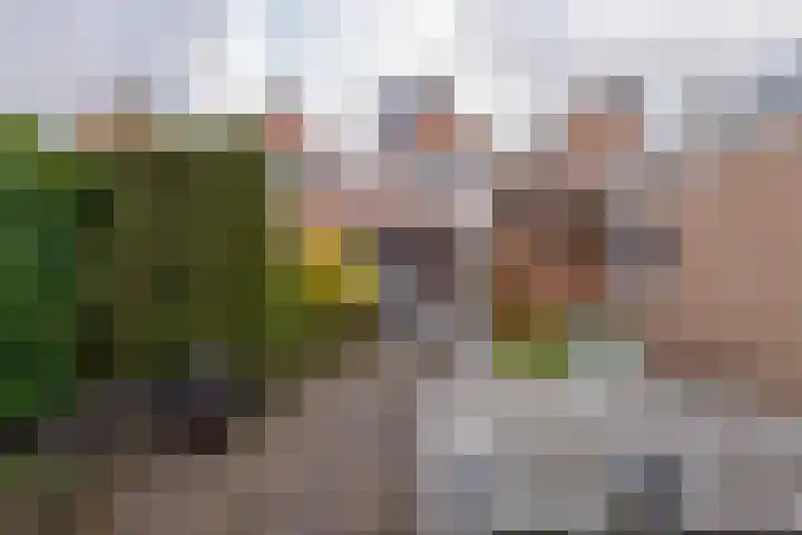 Grevenmate 18 Zwolle thumbnail 30