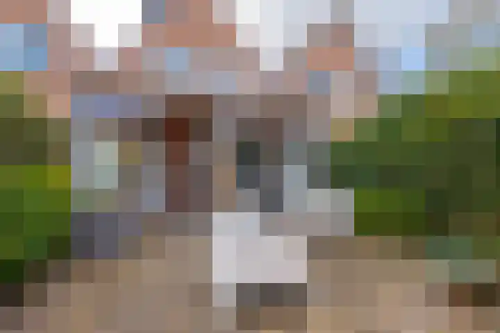 Grevenmate 18 Zwolle thumbnail 31