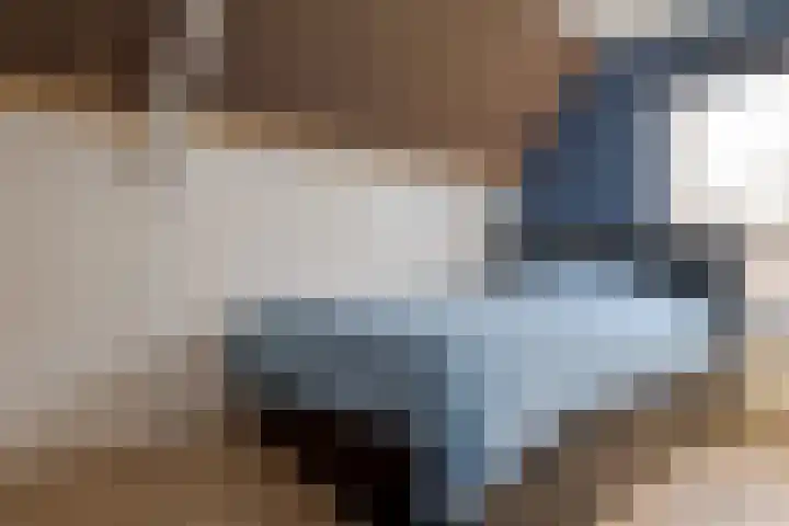 Grevenmate 18 Zwolle thumbnail 44
