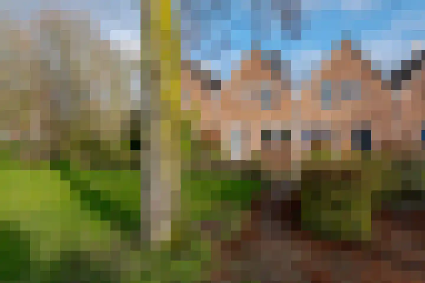 Grevenmate 18 Zwolle thumbnail 54