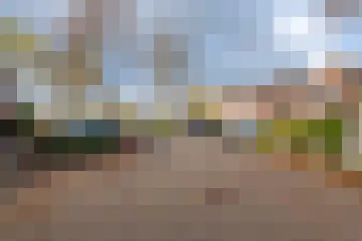 Grevenmate 18 Zwolle thumbnail 55
