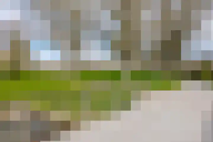 Grevenmate 18 Zwolle thumbnail 57