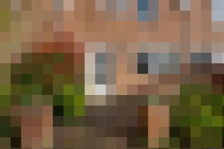 Grevenmate 18 Zwolle thumbnail 8