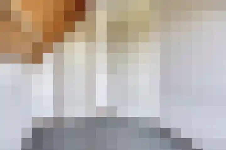 Grevenmate 9 Zwolle thumbnail 23