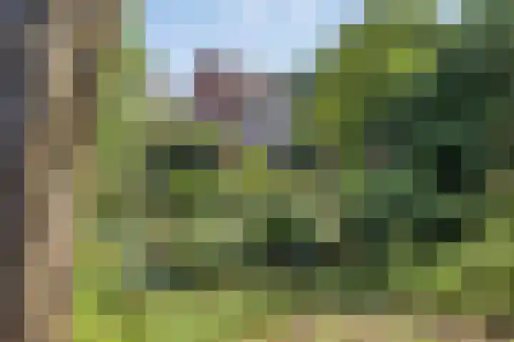 Grevenmate 9 Zwolle thumbnail 27