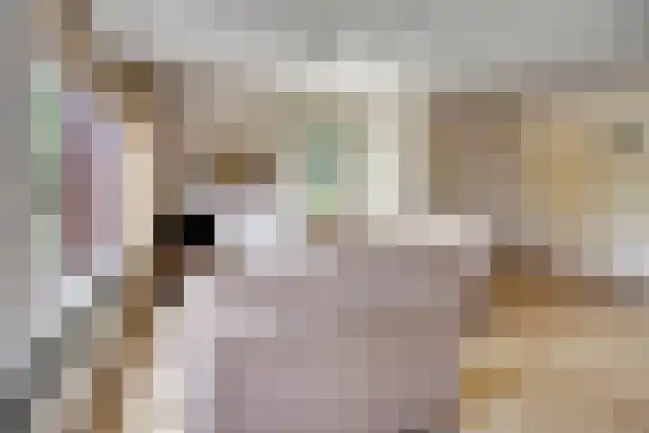 Grevenmate 9 Zwolle thumbnail 9