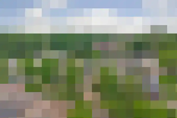 Grevenveld 25 Huissen thumbnail 36