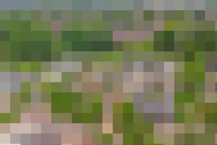 Grevenveld 25 Huissen thumbnail 37