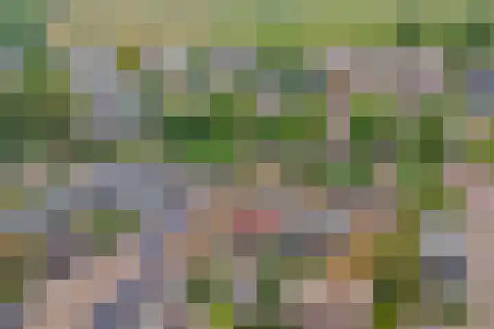 Grevenveld 25 Huissen thumbnail 38