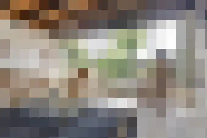 Grevenveld 25 Huissen thumbnail 4