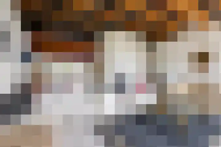 Grevenveld 25 Huissen thumbnail 5