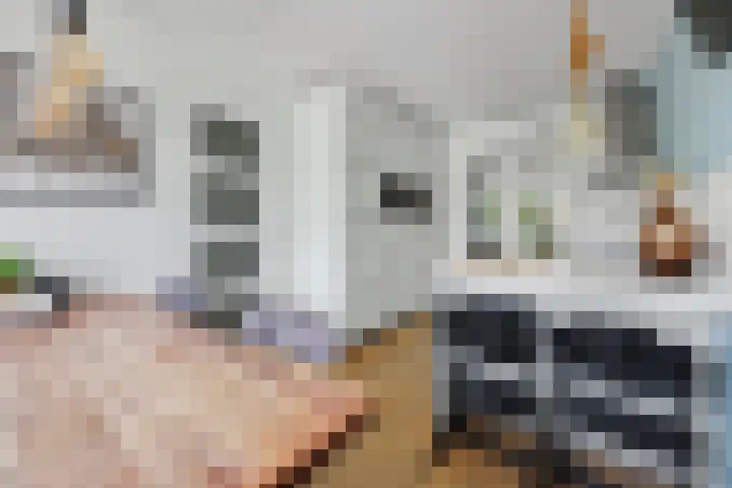 Greverkamp 22 Winterswijk Meddo thumbnail 18