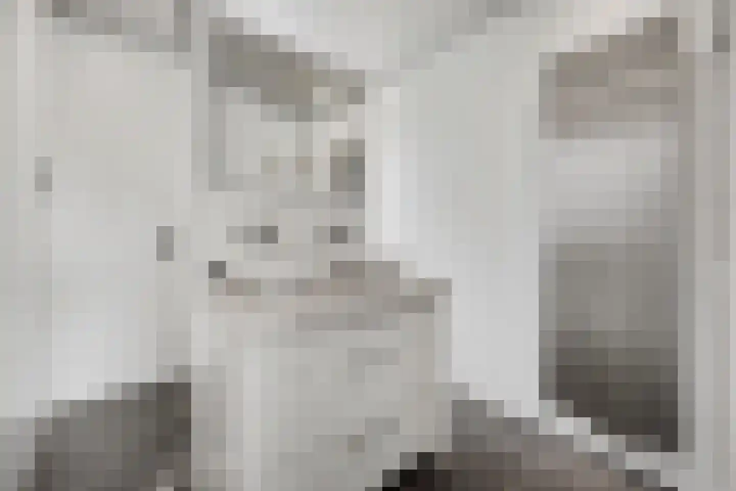 Greverkamp 22 Winterswijk Meddo thumbnail 4