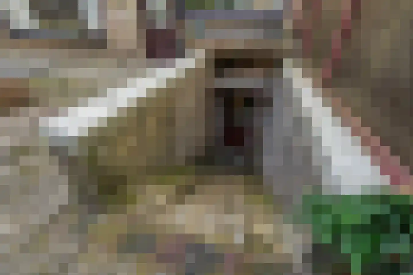 Grevinckstraat 14 Nijmegen thumbnail 38
