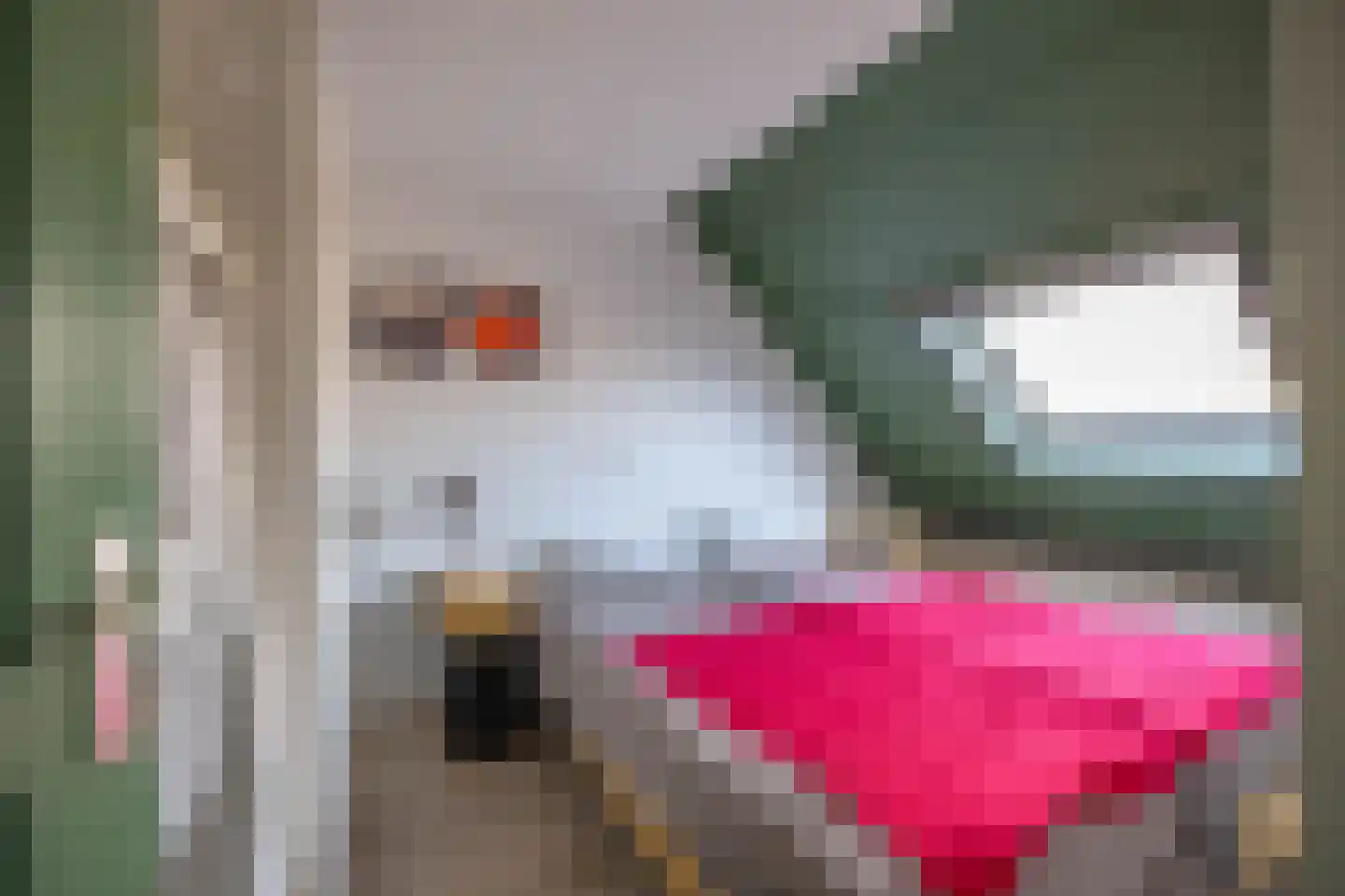 Grevingaheerd 148 Groningen thumbnail 17
