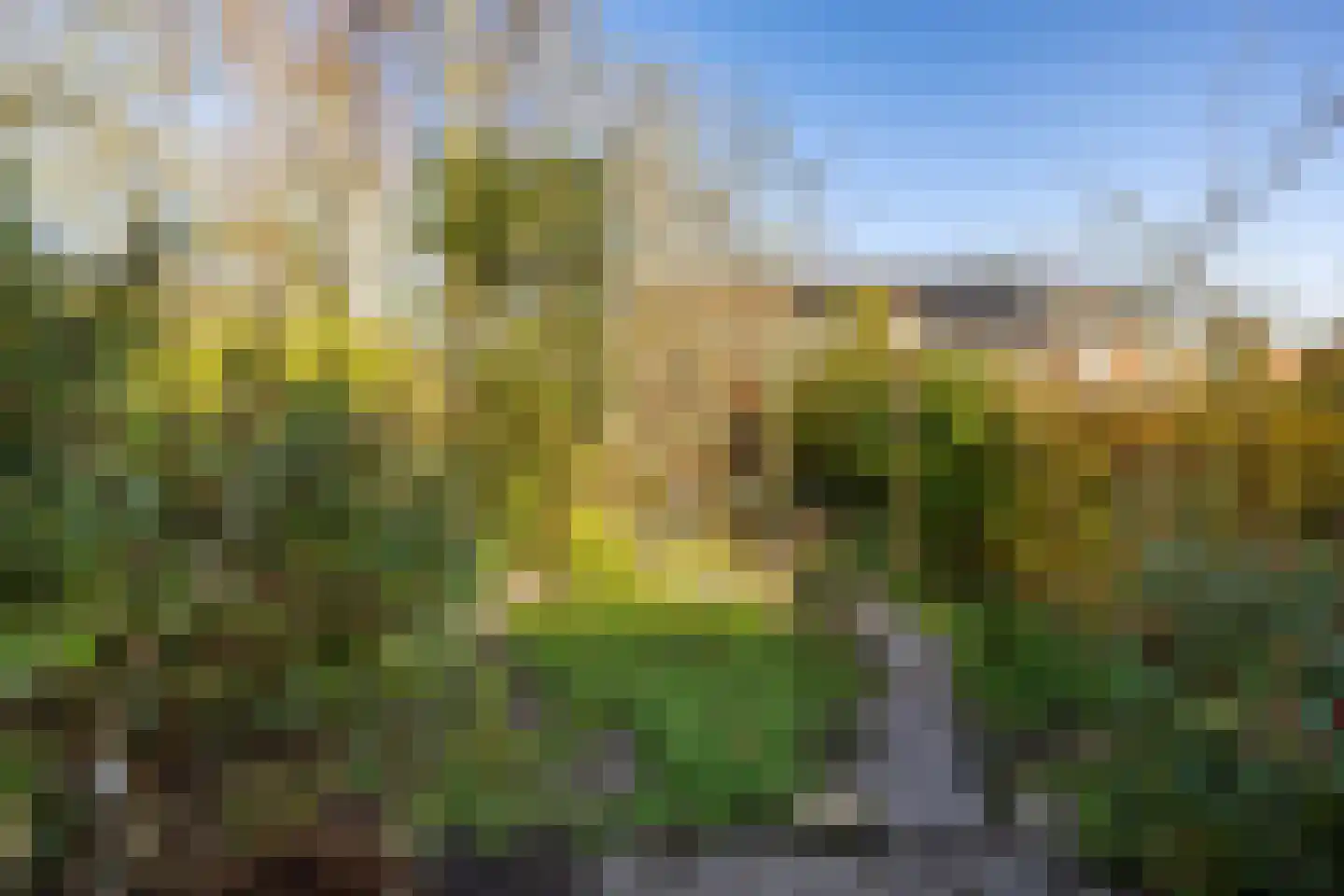 Grevingaheerd 148 Groningen thumbnail 30