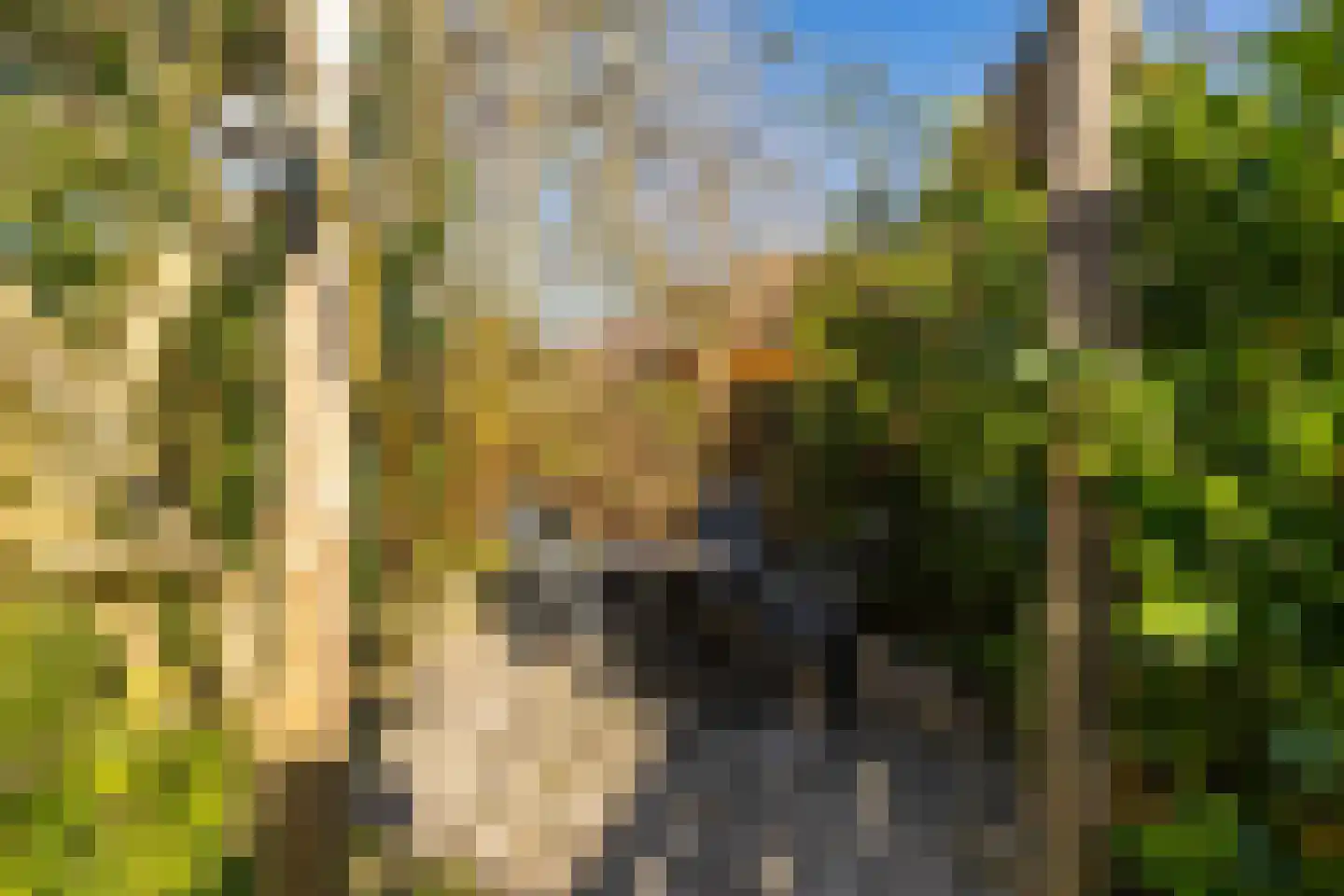 Grevingaheerd 148 Groningen thumbnail 31