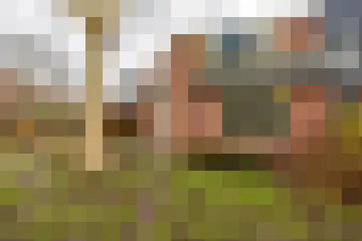 Grevingaheerd 155 Groningen thumbnail 38