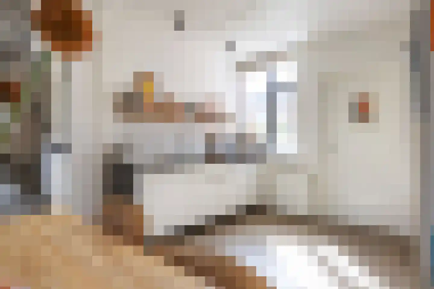 Grevingaheerd 171 Groningen thumbnail 11