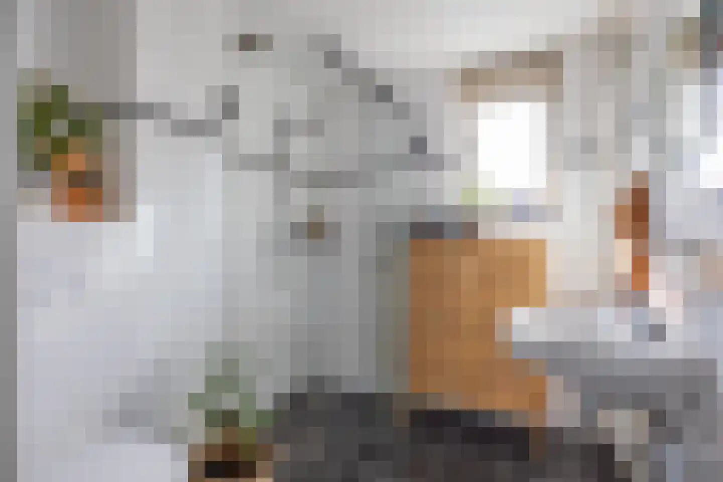 Grevingaheerd 171 Groningen thumbnail 18