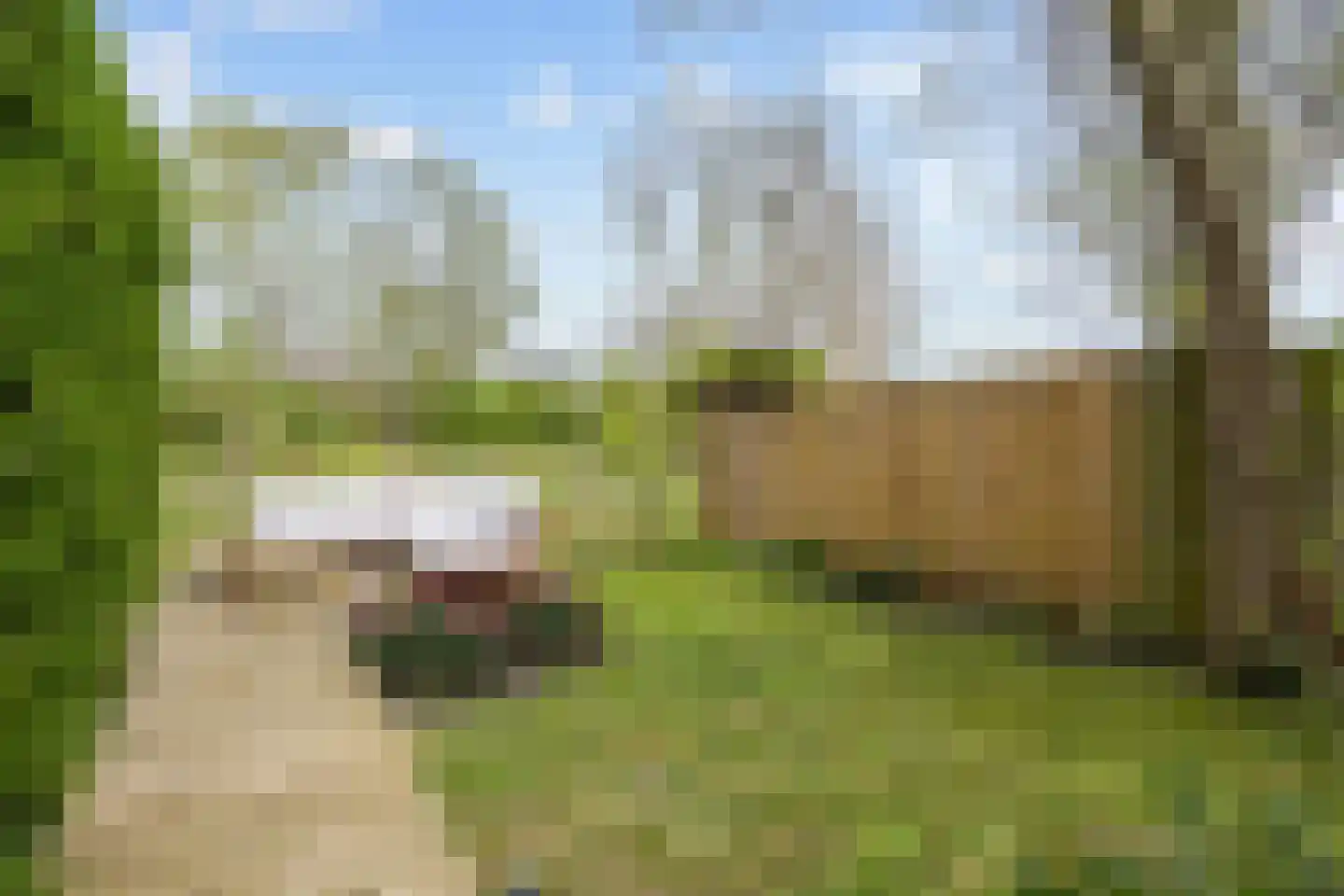 Grevingaheerd 171 Groningen thumbnail 21