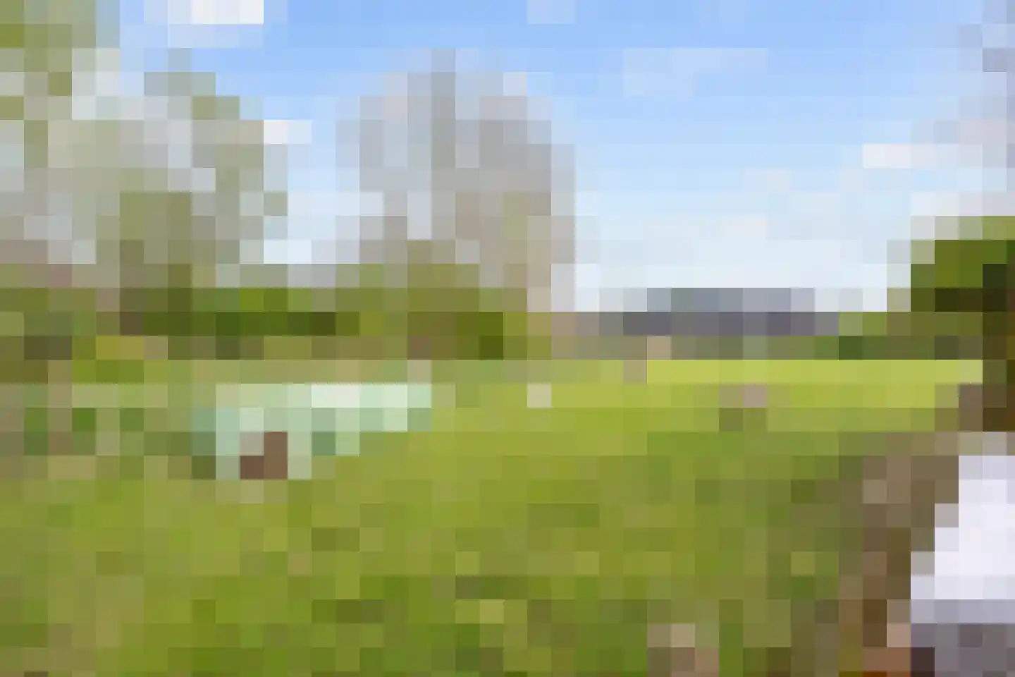 Grevingaheerd 171 Groningen thumbnail 22