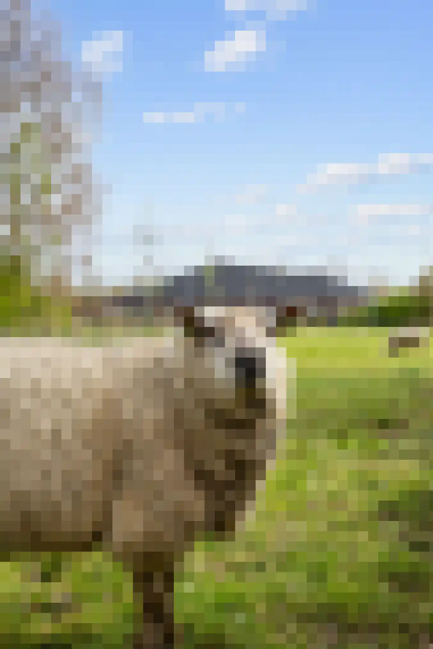 Grevingaheerd 171 Groningen thumbnail 23