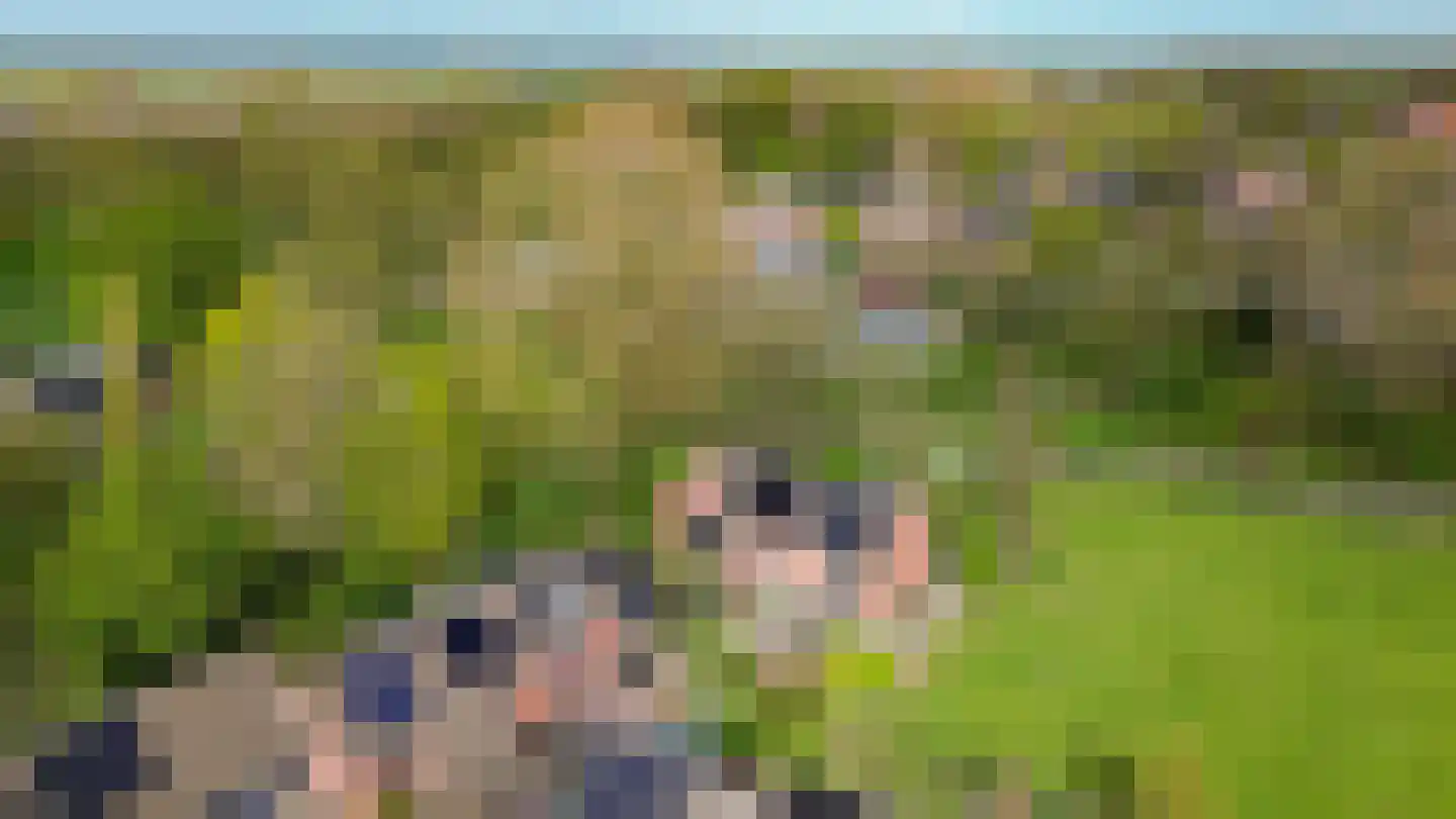 Grevingaheerd 171 Groningen thumbnail 24