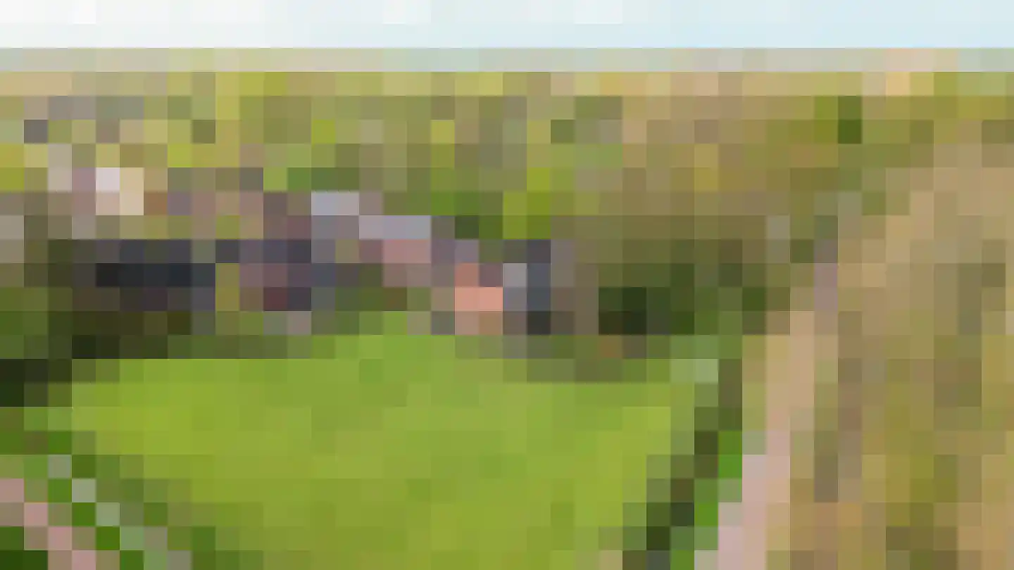 Grevingaheerd 171 Groningen thumbnail 25