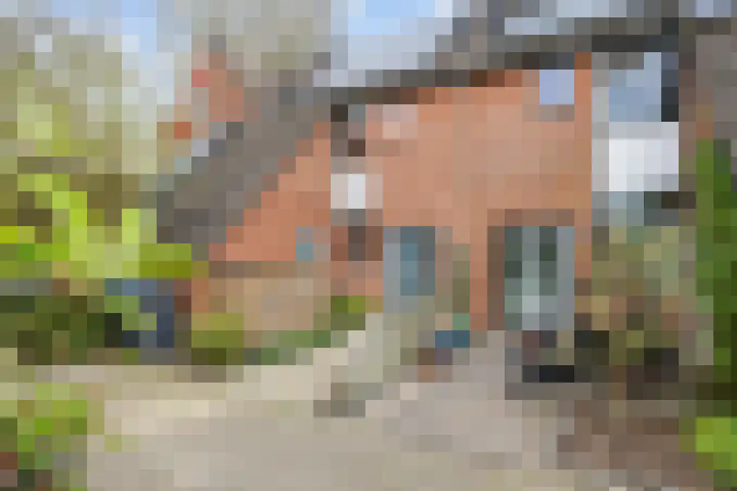 Grevingaheerd 171 Groningen thumbnail 4
