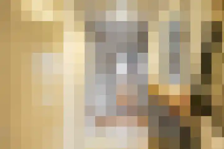 Grevingaheerd 209 Groningen thumbnail 10