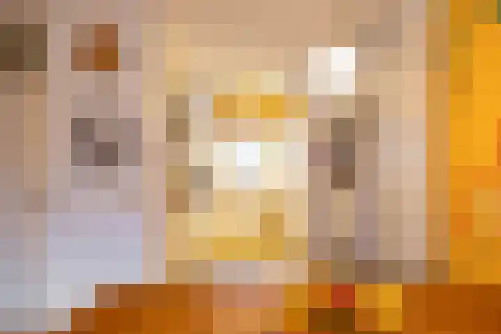 Grevingaheerd 209 Groningen thumbnail 13