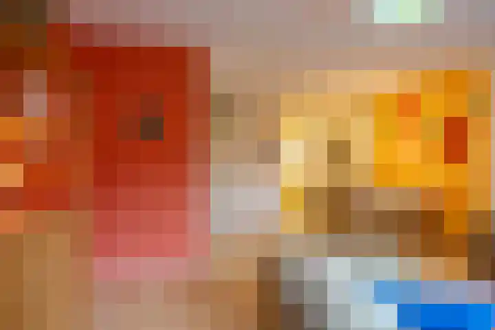 Grevingaheerd 209 Groningen thumbnail 17