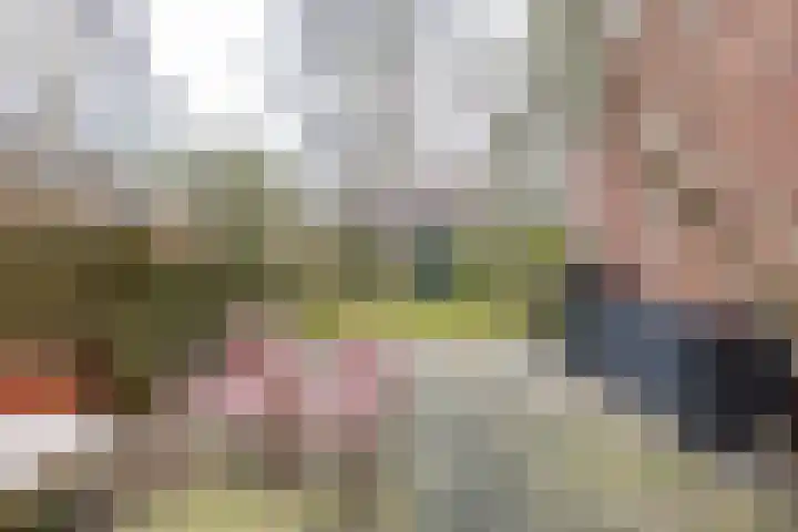 Grevingaheerd 209 Groningen thumbnail 23