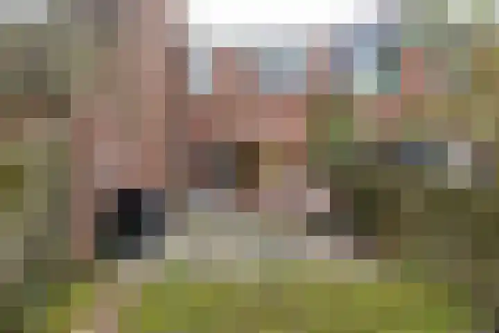 Grevingaheerd 209 Groningen thumbnail 24
