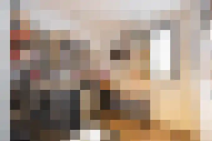 Grevingaheerd 209 Groningen thumbnail 28