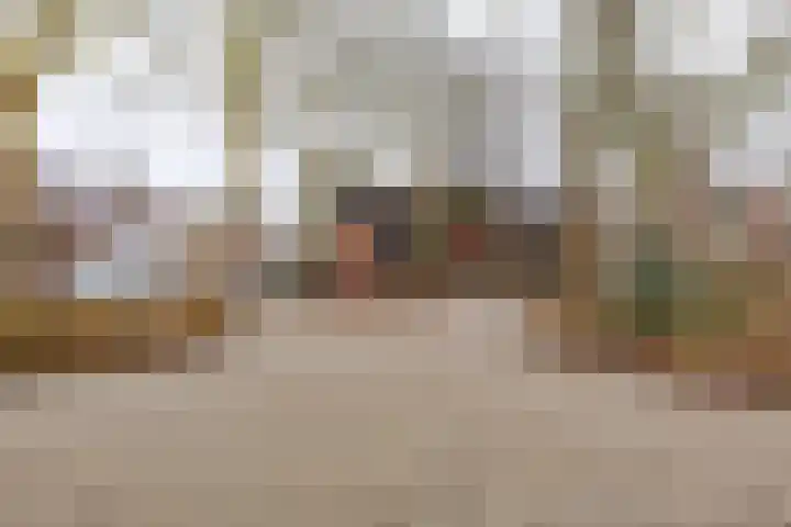 Grevingaheerd 209 Groningen thumbnail 50