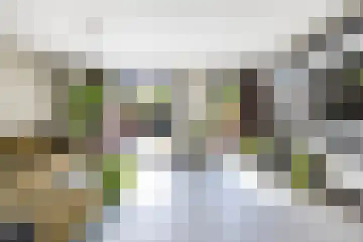Grevingaheerd 9 Groningen thumbnail 15