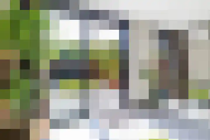 Grevingaheerd 9 Groningen thumbnail 17