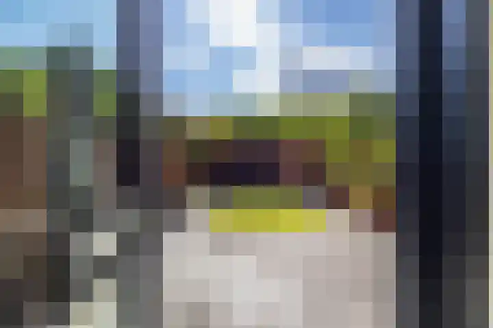Grevingaheerd 9 Groningen thumbnail 18