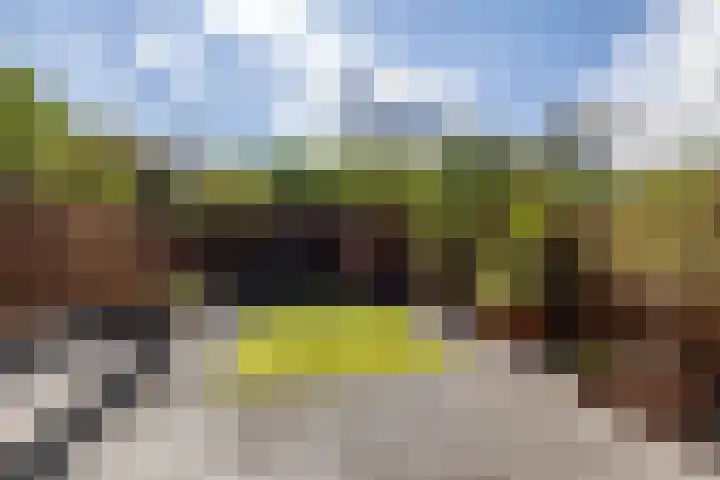 Grevingaheerd 9 Groningen thumbnail 19