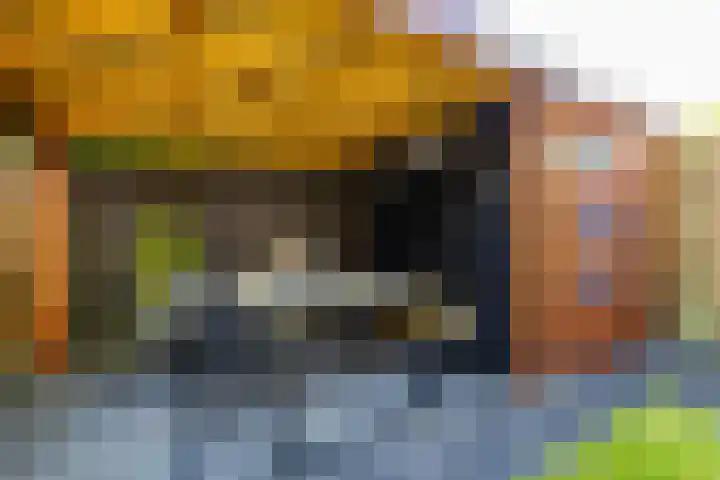 Grevingaheerd 9 Groningen thumbnail 20