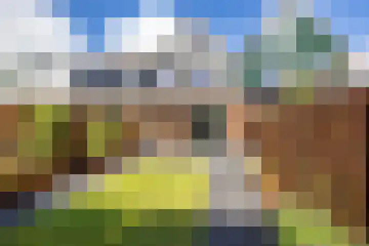 Grevingaheerd 9 Groningen thumbnail 22