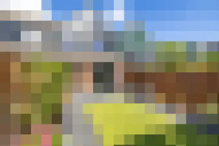 Grevingaheerd 9 Groningen thumbnail 23