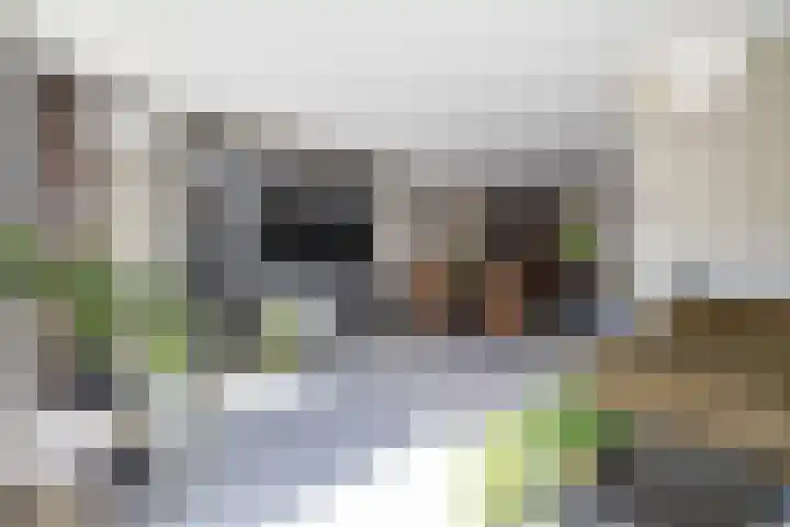 Grevingaheerd 9 Groningen thumbnail 25