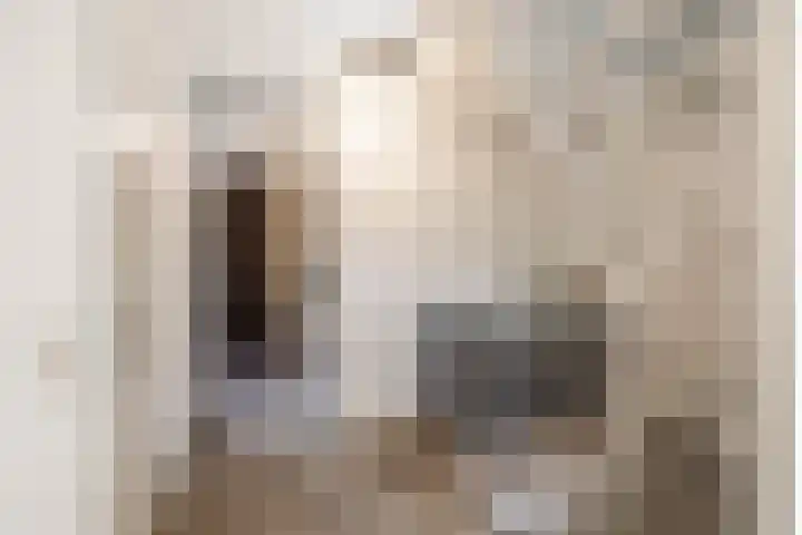 Grevingaheerd 9 Groningen thumbnail 31