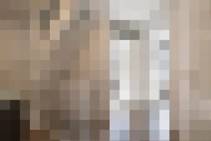 Grevingaheerd 9 Groningen thumbnail 32